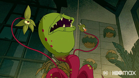 Harley Quinn GIF by HBO Max