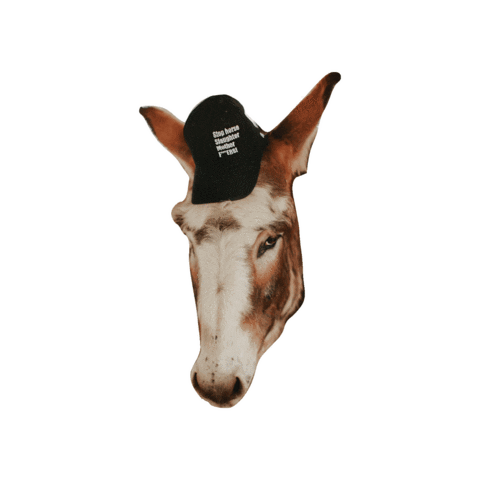Horserescue Sticker by All Seated in a Barn