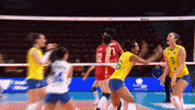 Happy Sport GIF by Volleyball World