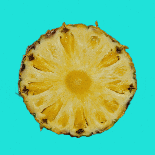 Summer Comida GIF