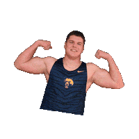 Brady Smith Sticker by WVU Tech Golden Bears