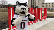 Focus Mascots GIF by Northern Illinois University