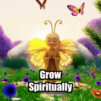 Buddhafly Character GIF by BuddhaFlyJourney