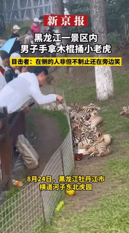 yj_jane giphyupload GIF