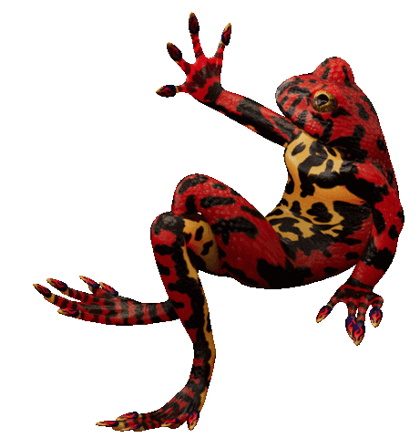 Frog Sticker by Meta