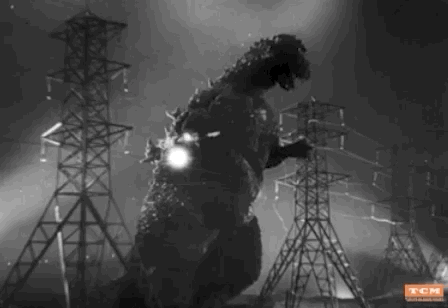 Ishiro Honda Godzilla GIF by Turner Classic Movies