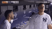 Celebrate New York Yankees GIF by MLB