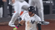 New York Yankees Win GIF by MLB