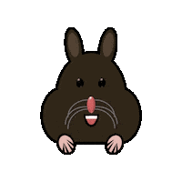 Hamster Kiki Sticker