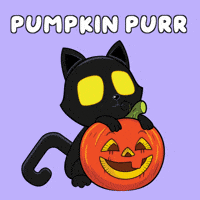 Happy Black Cat GIF by VeeFriends