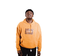 Pa Safari Sticker by LuckyView