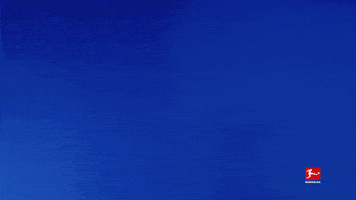 So What Reaction GIF by Bundesliga