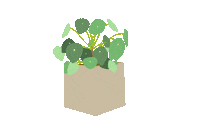 Good Morning Hello Sticker