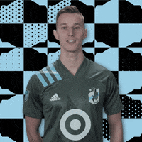 Minnesota United No GIF by Major League Soccer