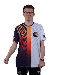 Esports Zebra Sticker by BS+COMPETITION