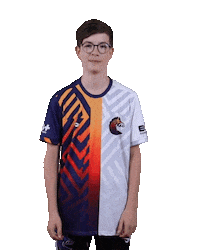 Esports Zebra Sticker by BS+COMPETITION