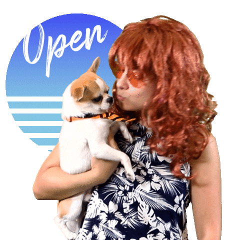 Dog Sinnombre Sticker by Open Plaza