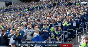 football GIF by NFL