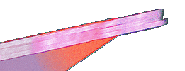 Hot Girl Summer Sticker by GIPHY Studios 2021