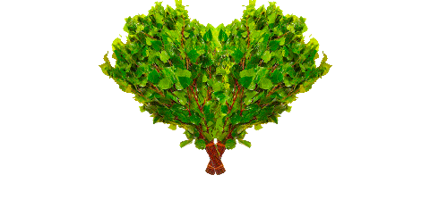 lightpar giphyupload баня веник мастерская лёгкого пара Sticker