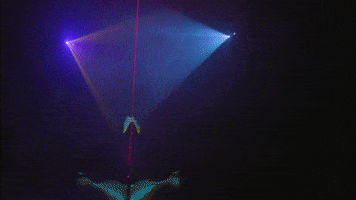 meowwolf meow wolf meowwolf meow wolf santa fe house of eternal return GIF