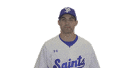 StPaulSaints baseball athlete baseball player st paul saints Sticker