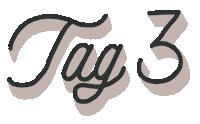 Reel Tage Sticker by ankebenen