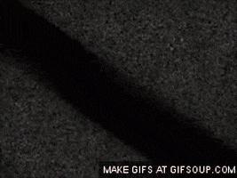 ai meu GIF