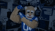 Celebration Cosmo GIF by BYU Cougars