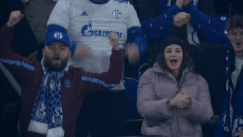 Football Applause GIF by FC Schalke 04