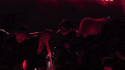 Arirang GIF