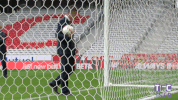 ligue 1 soccer GIF by Toulouse Football Club