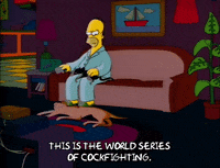 Season 2 Episode 13 GIF by The Simpsons