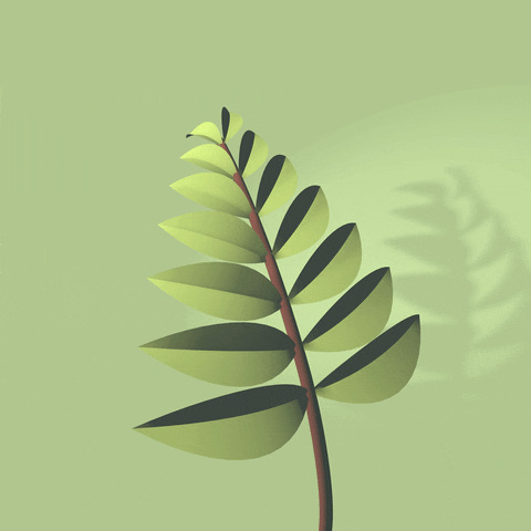 KevinKwokDesign giphyupload animation green leaf GIF
