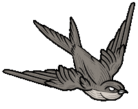 Bird Tattoo Sticker by Relo GIFS