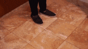 excited so what GIF by Mane 'n Tail