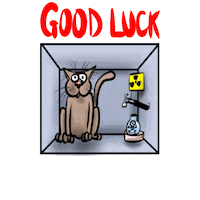 Cat Good Luck Sticker