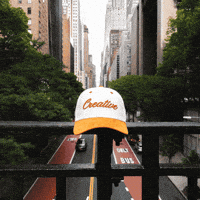 Head Hat GIF by VeeFriends