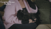 BigMountain cute dog pomeranian petting GIF