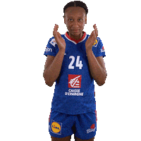 Ffhandball Sticker by Fédération Française de Handball