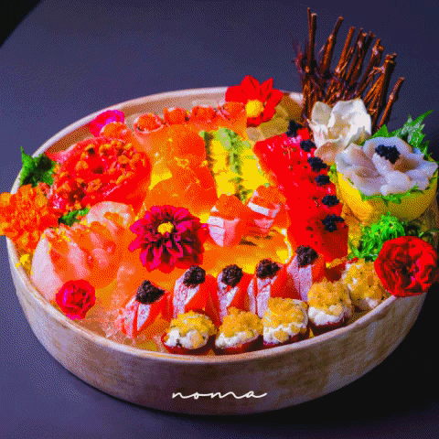 nomasushi giphygifmaker sushi japa noma GIF