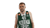 Basketball Hoops Sticker by Basket_fi