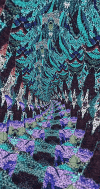 GIF by Leo Pyrata