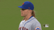 Regular Season Sport GIF by MLB