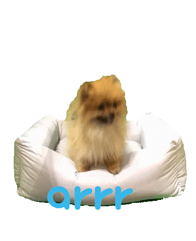 아르르 Sticker by arrr_official