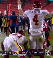 National Football League GIF by NFL