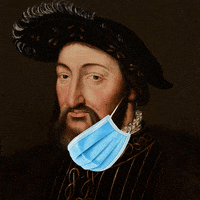 chateaudechambord fun mask covid coronavirus GIF