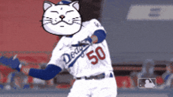 Cat Baseball GIF by ShiroNeko