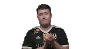 Zywoo Sticker by Team Vitality