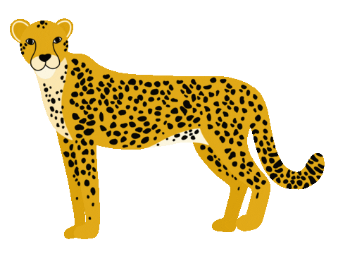 Big Cat Sticker by Manda Creates Pretty
